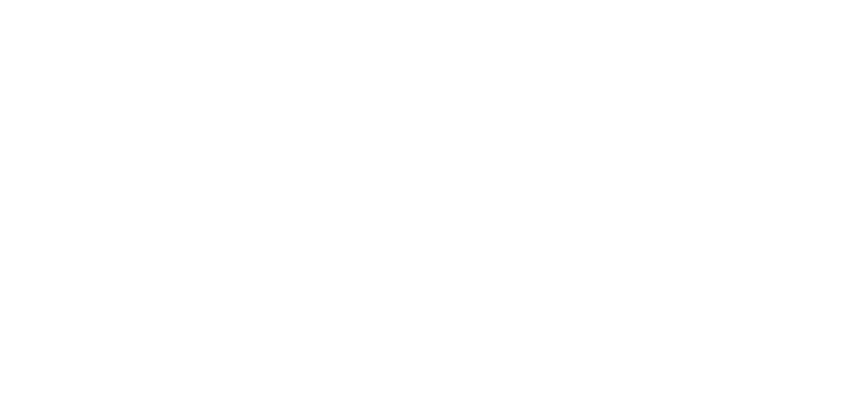 Phoenix-Power-Holdings-Sri-Lanka-white-logo
